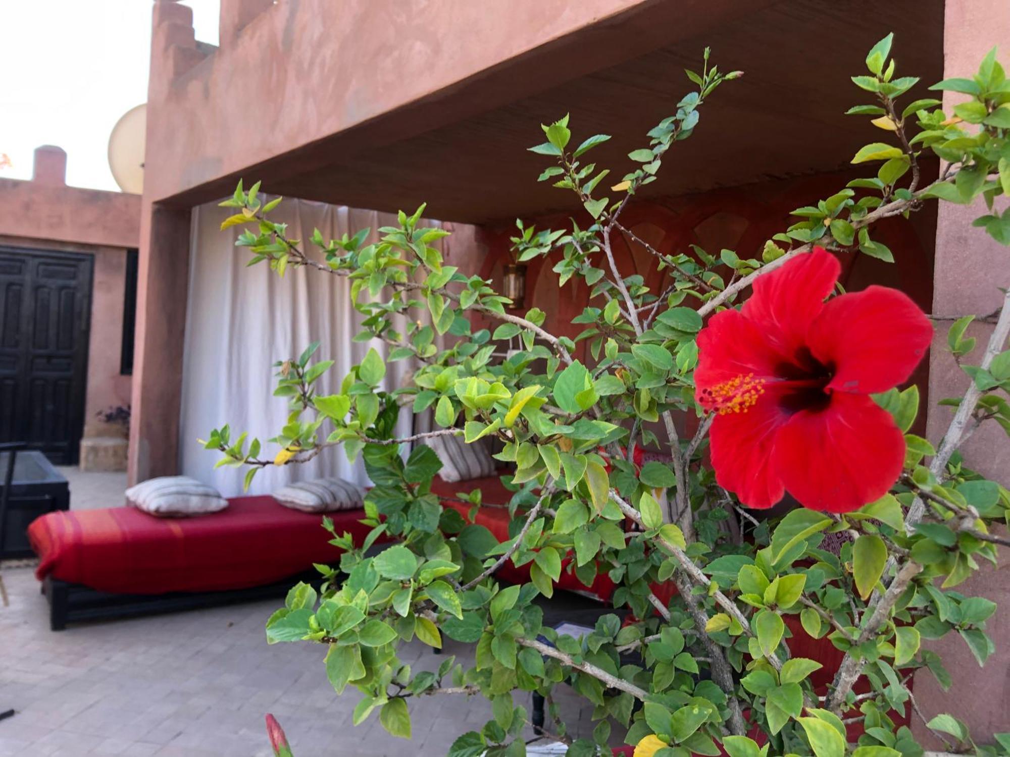 Dar Fangui Hotel Marrakesh Exterior photo